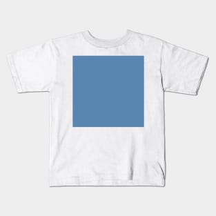 gray blue Kids T-Shirt